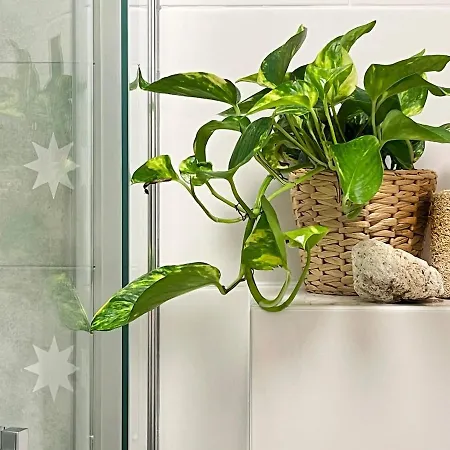 Cozy 10 Minutes To Wawel Castle